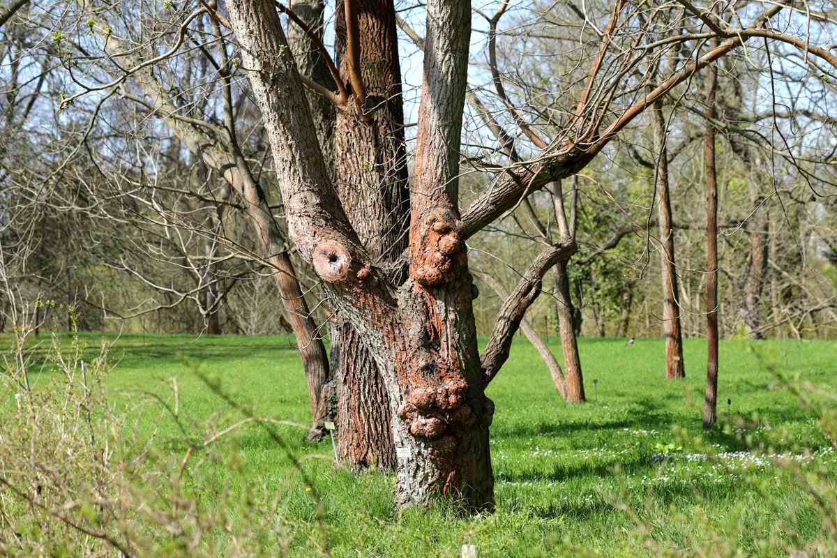 Foto von ESDES.Pictures